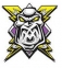 Manchester Storm logo