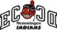 ECDC Memmingen Indians logo