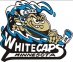 Minnesota Whitecaps logo