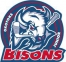 Okotoks Bisons logo