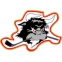 Rødovre Mighty Bulls logo