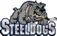 Sheffield Steeldogs logo
