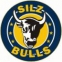SV Silz 1930 Bulls logo