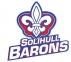 Solihull Barons logo