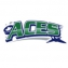 County Aces logo