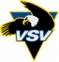 EC BIC VSV logo