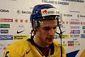 Erik Karlsson portrait WC 2012