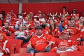 Danish fans at 2012 WC