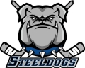 Sheffield Steelers buy out Sheffield Steeldogs