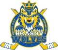 Brasov win Romanian League