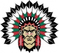 SHL 2018/9 - Frölunda Indians win again in Sweden