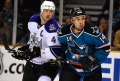 KHL Medvescak’s 25-Man Roster Complete
