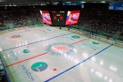 Omsk Arena logo