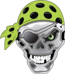 Hull Pirates logo