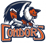 Oklahoma City Barons logo