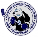 CSM Târgu Mureș logo