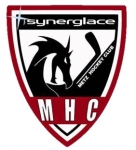 HC Metz logo