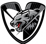 CSM Odorheiu Secuiesc logo
