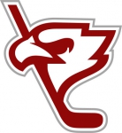 Polska Hokej Liga logo