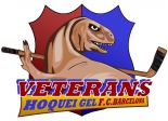 Veterans HG FC Barcelona logo
