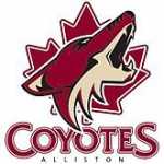 New Tecumseth Civics logo