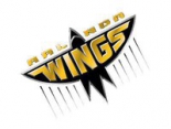 Wings HC Arlanda logo