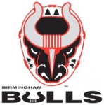 Birmingham Bulls logo