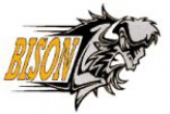 Basingstoke Bison logo