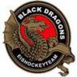 Erfurt Black Dragons logo
