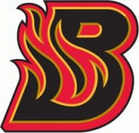 Bloomington Blaze logo