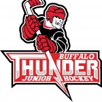 Buffalo Stampede logo