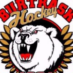 Burträsk HC logo