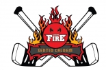 Cardiff Fire logo