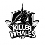 Daemyung Killer Whales logo