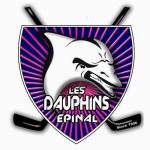 IC Epinal Les Dauphins 2 logo