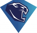 ERC Ingolstadt logo