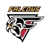 HS Falcons Riga logo