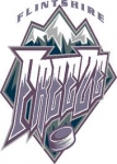 Deeside Dragons logo
