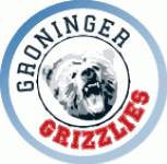 GIJS Bears Groningen logo