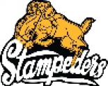 Hardisty Stampeders logo