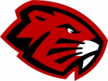 HK Bobruisk logo