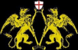 Ice Club Genova logo
