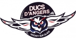 ASG Angers Les Ducs logo