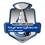 Ligue Magnus logo