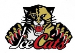 Long Island Icecats logo