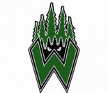 Minnesota Wilderness logo