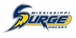 Mississippi Surge logo