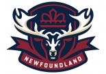 Newfoundland Regiment logo