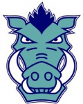 Nynäshamns IF logo