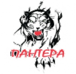 Pantera Minsk logo